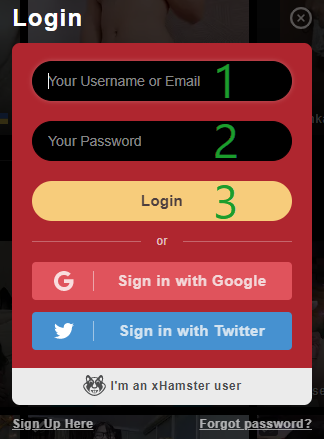 Stripchat Login process