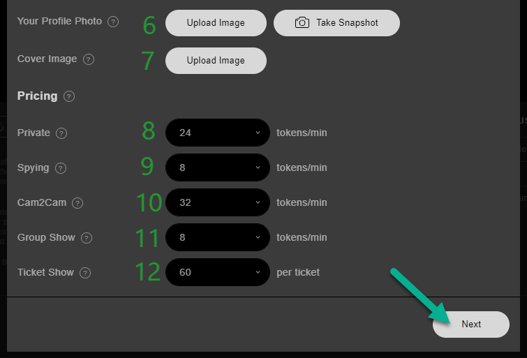 Stripchat Model Profile Settings