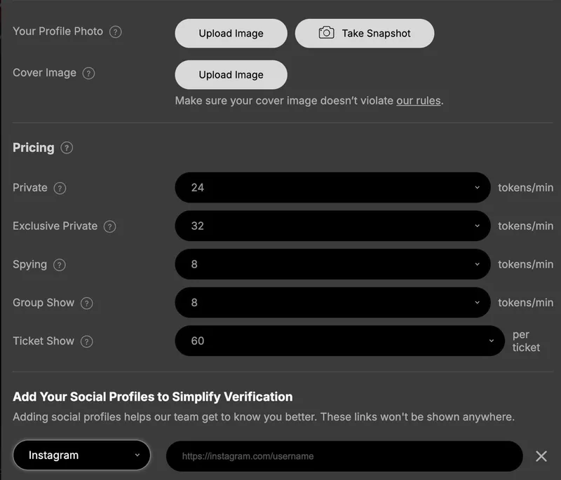 Stripchat model profile optional fields Hair color Eyes color Subculture and pricing setup