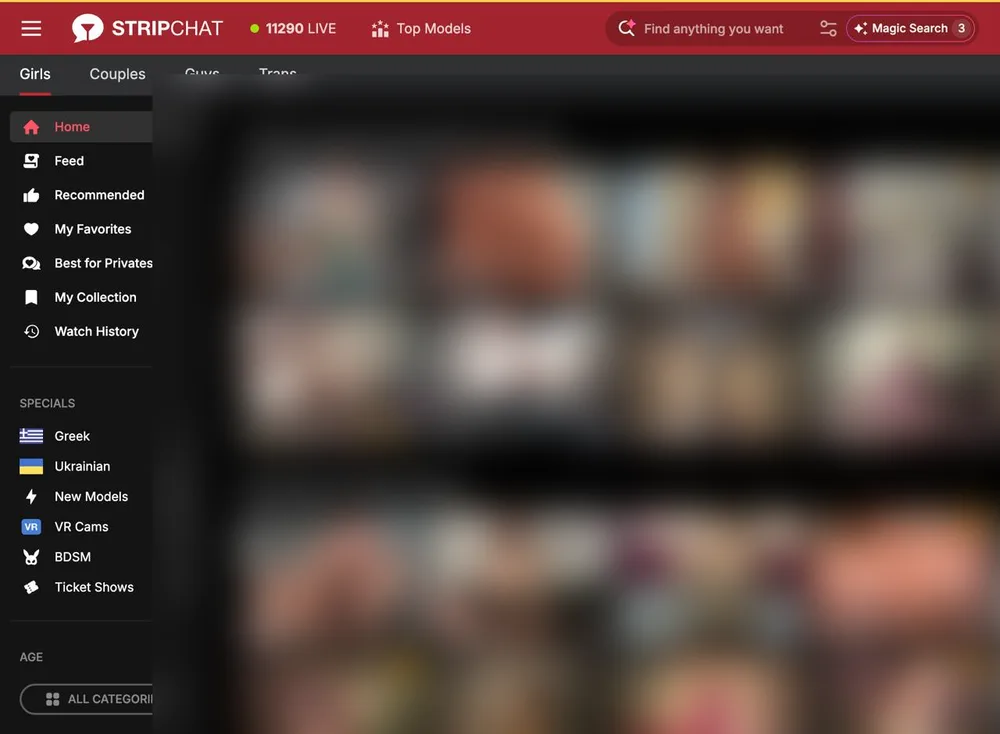 Stripchat homepage after registration showing personalized recommendations VR Cams BDSM categories and 11290 live models