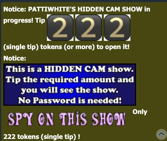 Chaturbate chat notice from a model-run app announcing a hidden cam show in progress, opened by a single tip — 222 tokens in this room, no password needed