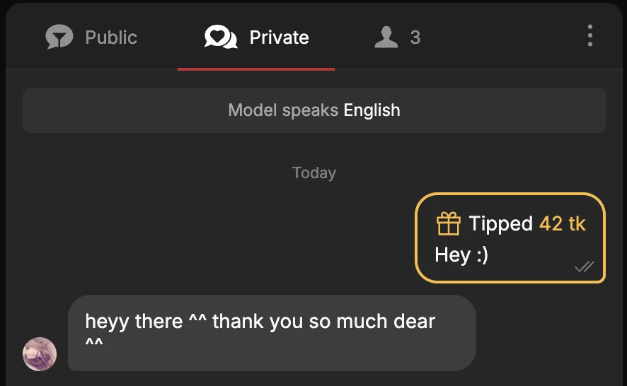 Stripchat room chat on the Private tab: a note Model speaks English, our message Tipped 42 tk, Hey :), and the model’s reply heyy there, thank you so much dear