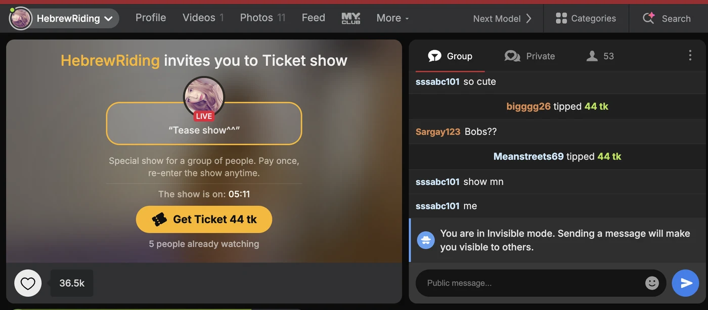 Stripchat ticket show entry screen: HebrewRiding invites you to Ticket show, Tease show, Special show for a group of people, pay once, re-enter the show anytime, The show is on 05:11, a Get Ticket 44 tk button and 5 people already watching; the room chat shows other viewers’ 44-token tips and a notice You are in Invisible mode, sending a message will make you visible to others