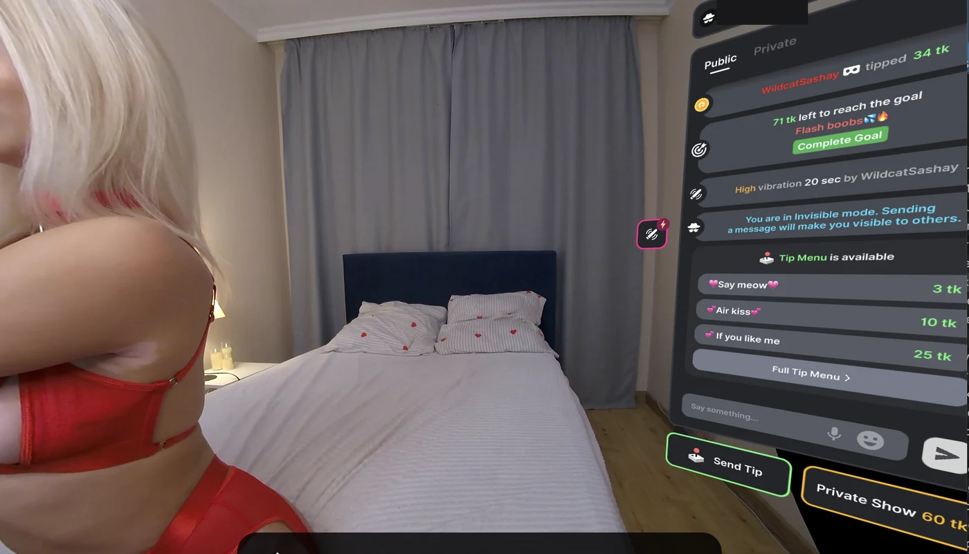 A Stripchat VR room viewed flat: the 180-degree stream of a model in red lingerie fills the frame, a floating chat panel shows another viewer’s 34-token tip, a goal line 71 tk left to reach the goal, a High vibration 20 sec toy reaction, the notice You are in Invisible mode, a tip menu with Say meow 3 tk, Air kiss 10 tk and If you like me 25 tk, a Send Tip button and a Private Show 60 tk button; our username blacked out